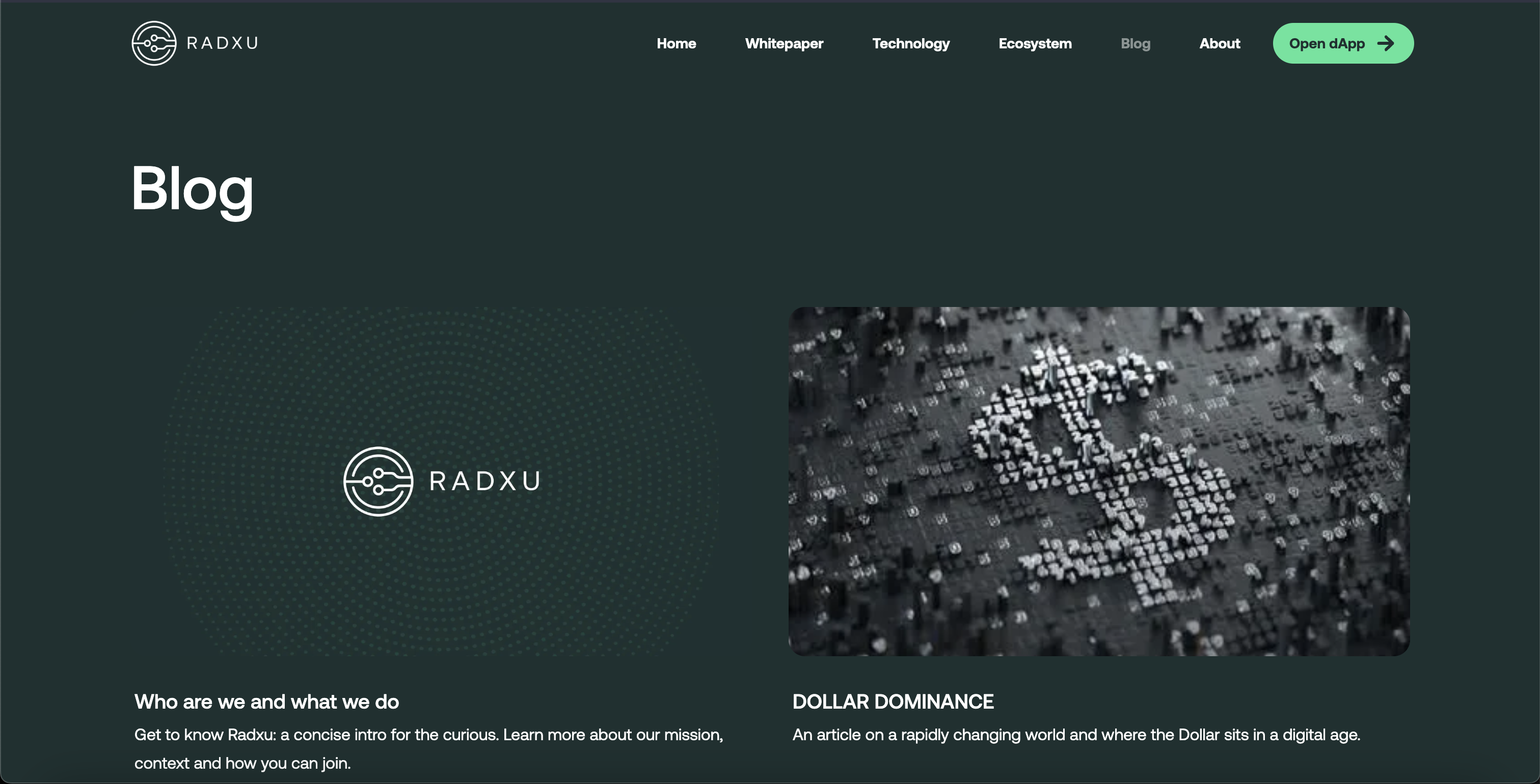 Radxu Landing Desktop 12